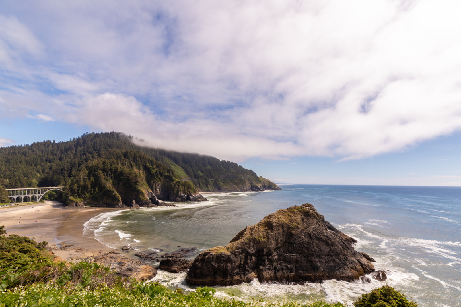 An image depicting the trail Cape Cove Trail and its surrounding area.