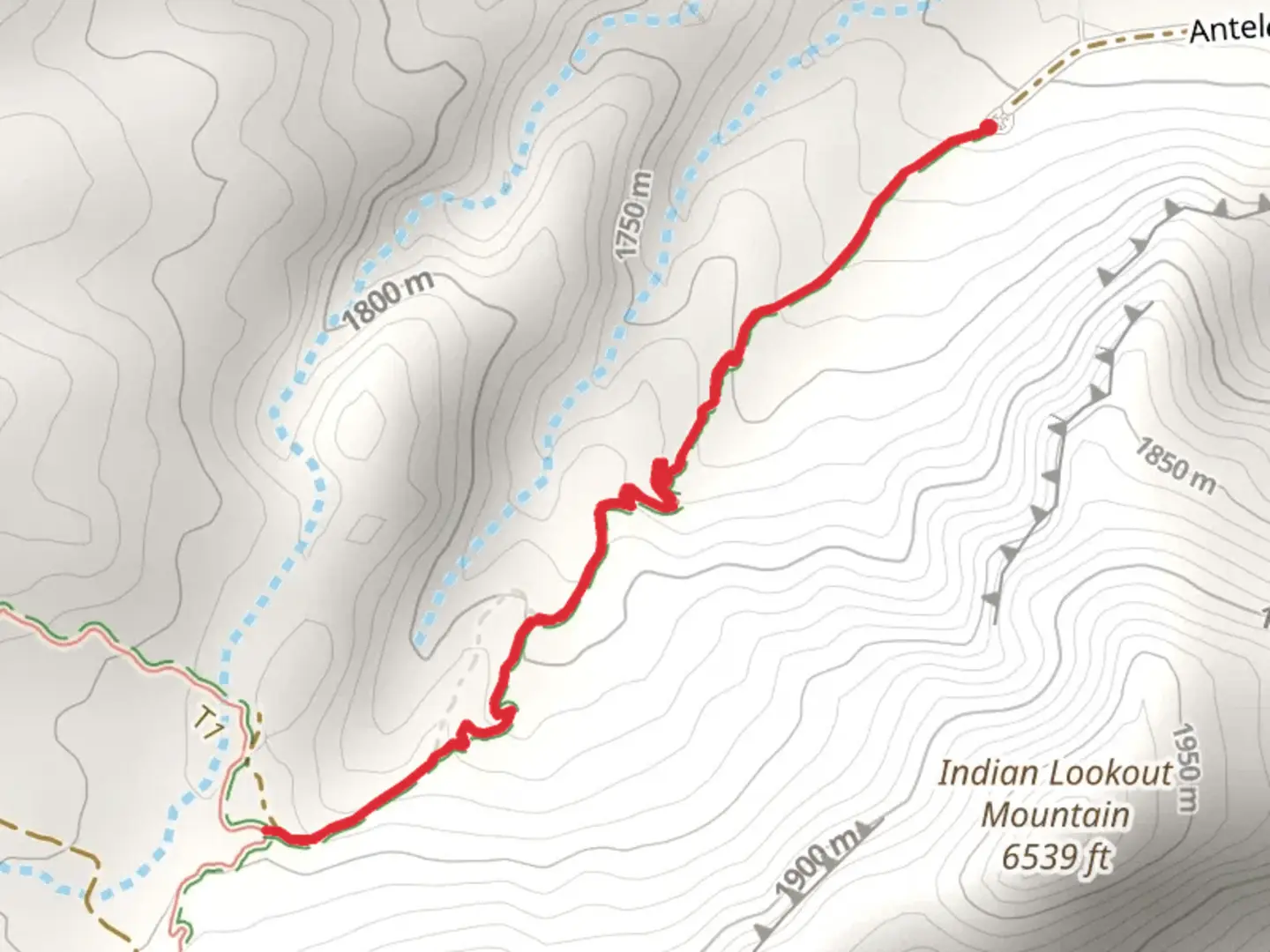 An image depicting the trail Antelope Trail and its surrounding area.