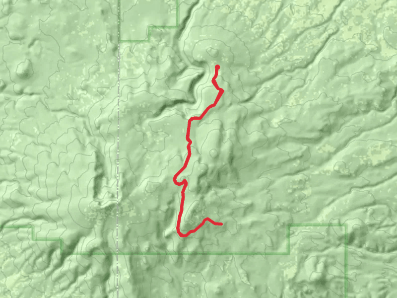 Bluebuck Trail
