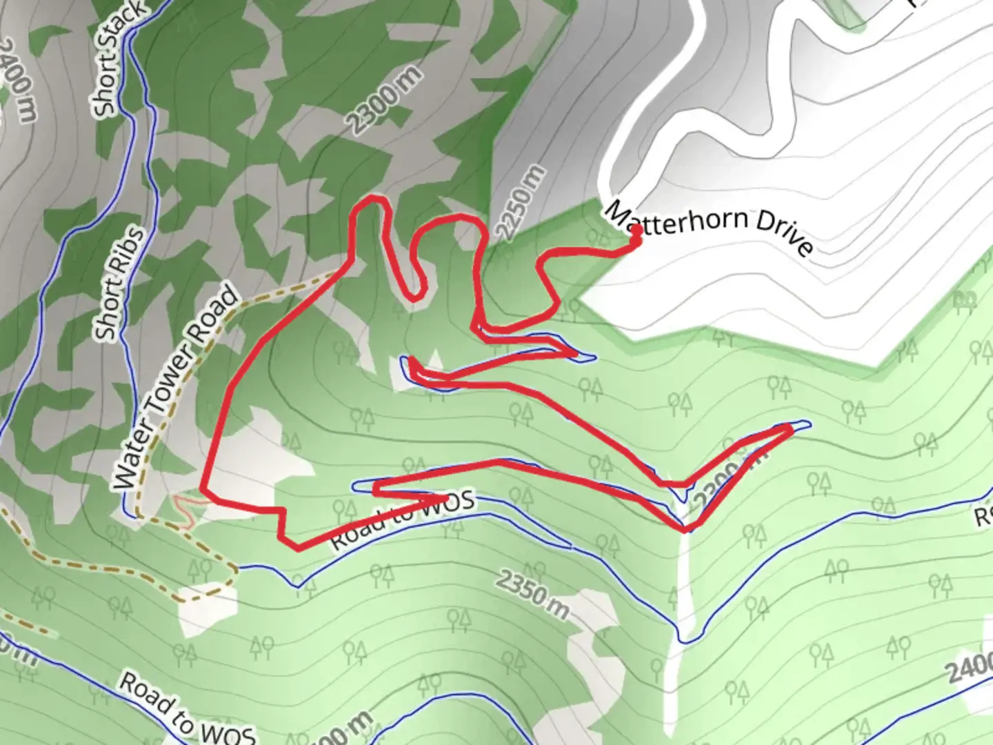 An image depicting the trail Road to WOS Loop and its surrounding area.