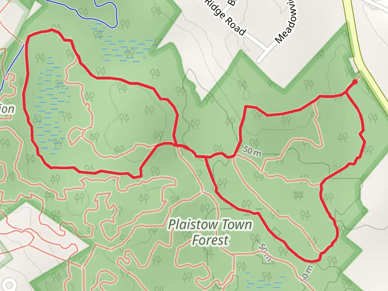 Plaistow Town Forest Loop