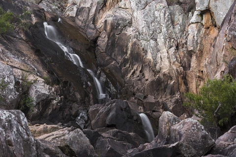 Crows Nest Falls Lookout Track