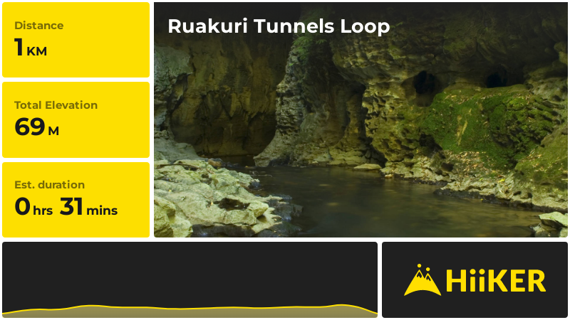 Ruakuri Tunnels Loop | Waitomo | New Zealand