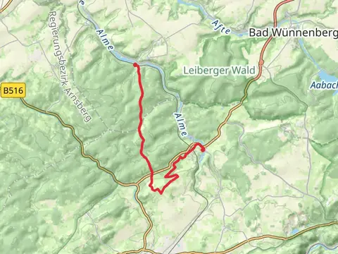 Ringelstein to Alme via Farrenkopf Grenzsteinweg and Kleiner Romberg