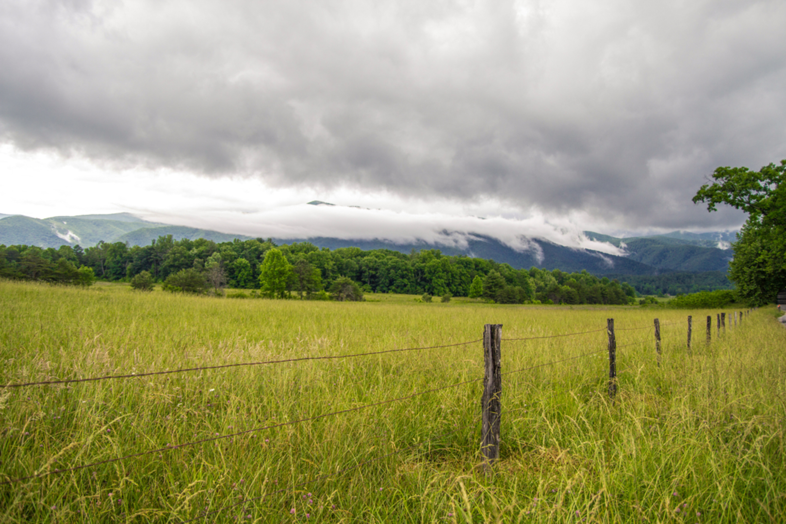 An image depicting the trail Rocky Top Trail and its surrounding area.