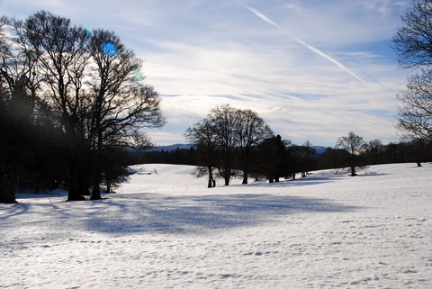 Sentier des Statues