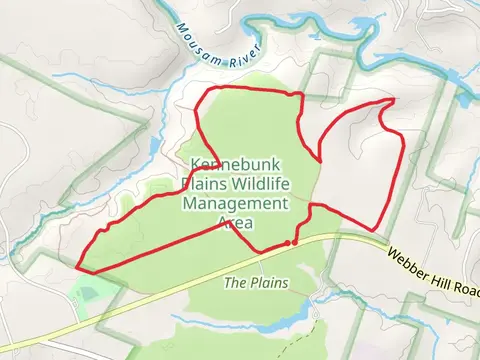 Kennebunk Plains Wildlife Management Area Loop