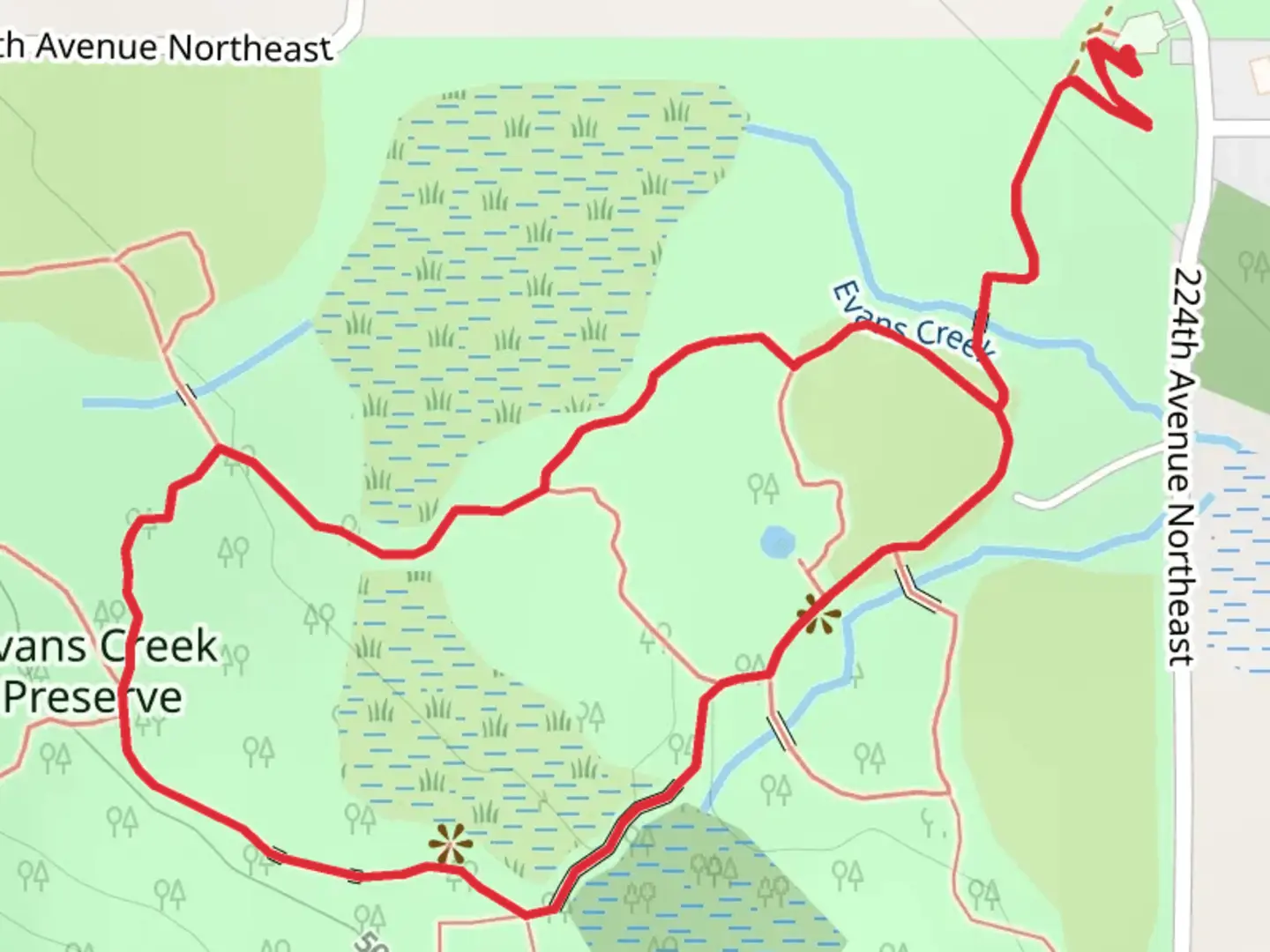 An image depicting the trail Evans Creek Preserve Loop and its surrounding area.