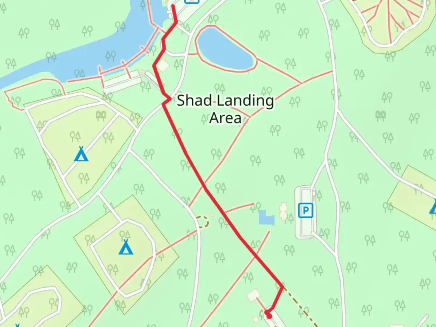 An image depicting the trail Shad Landing Area Walk and its surrounding area.