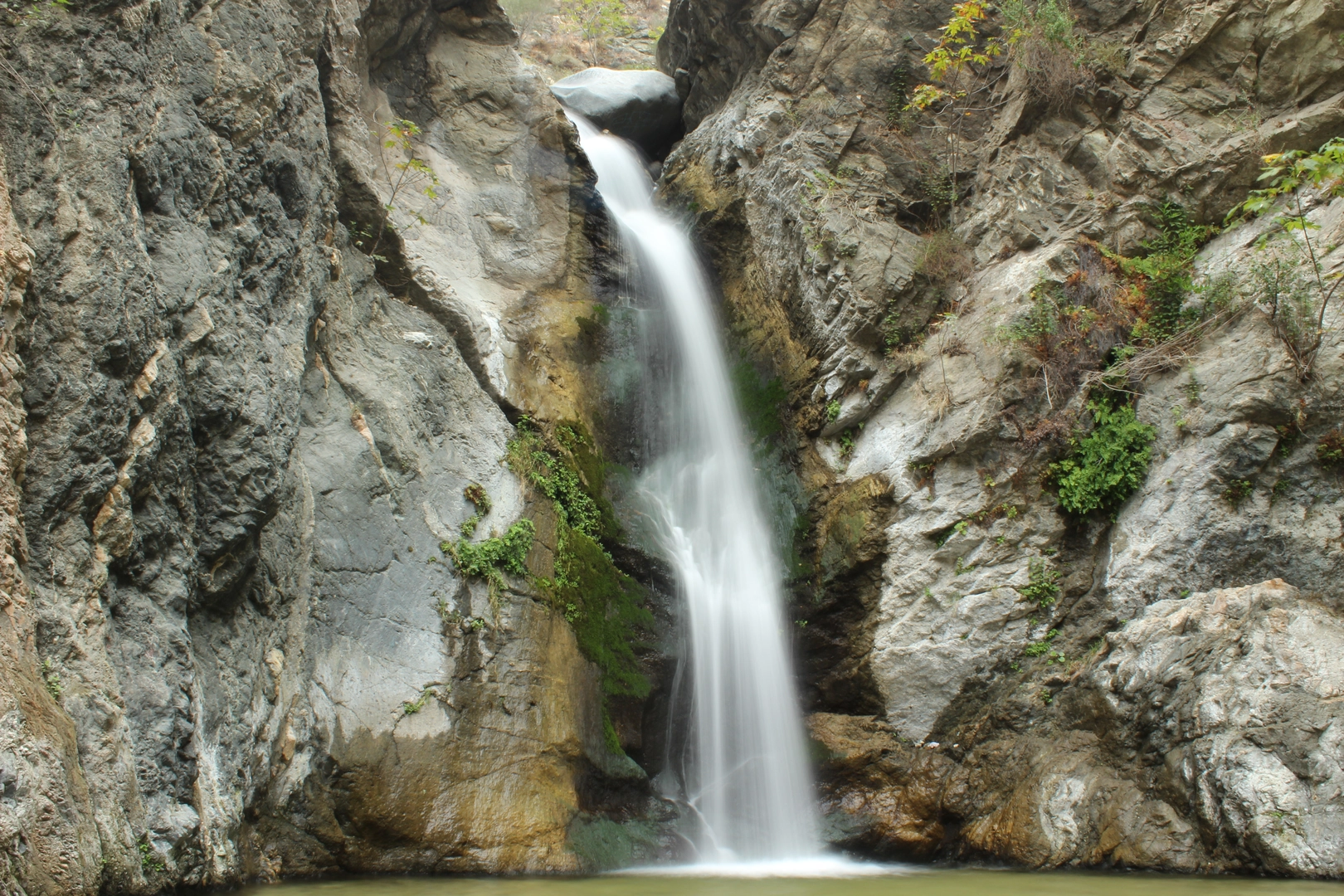 An image depicting the trail Eaton Canyon Trail Out and Back and its surrounding area.