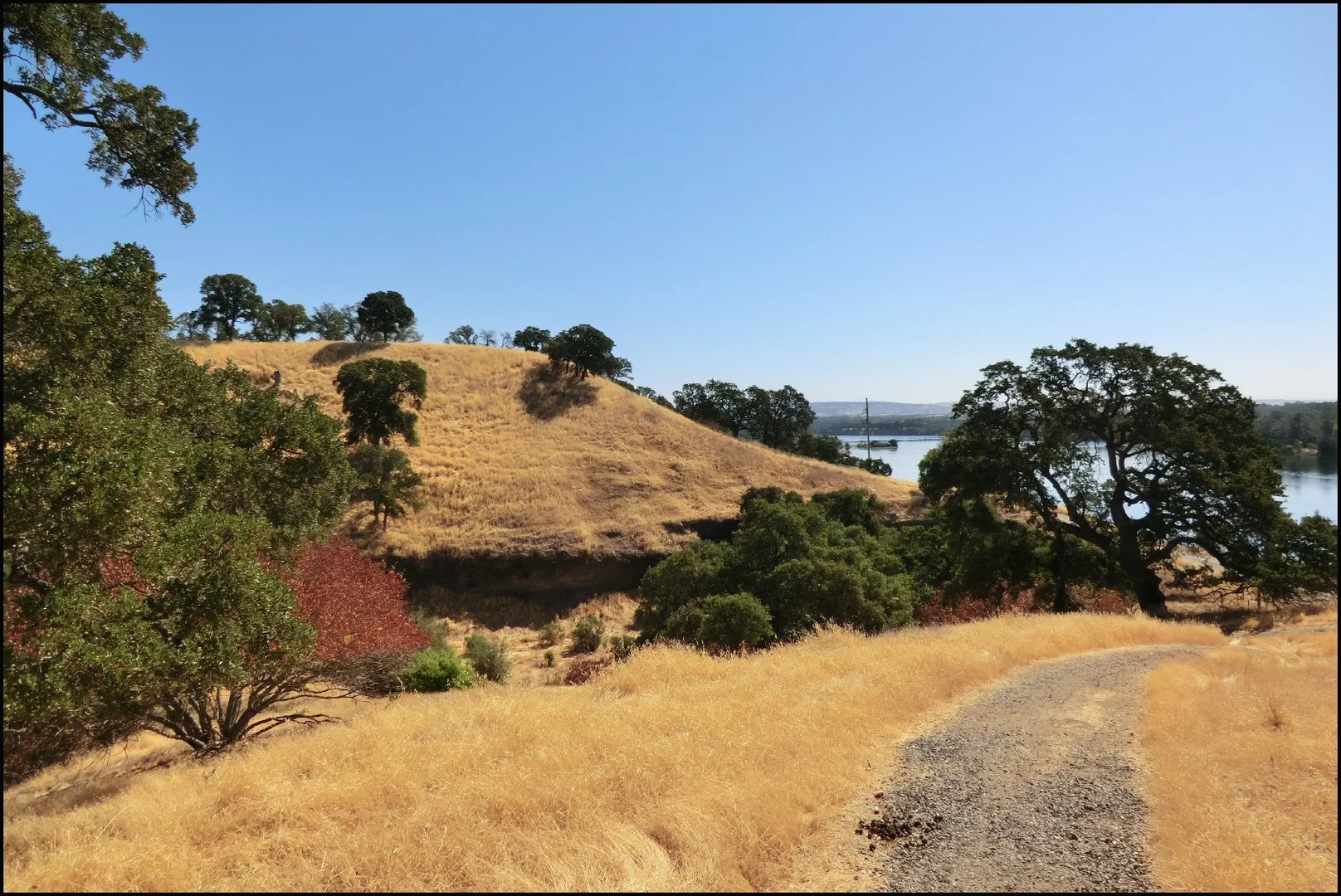 An image depicting the trail American River Trail - Short and its surrounding area.