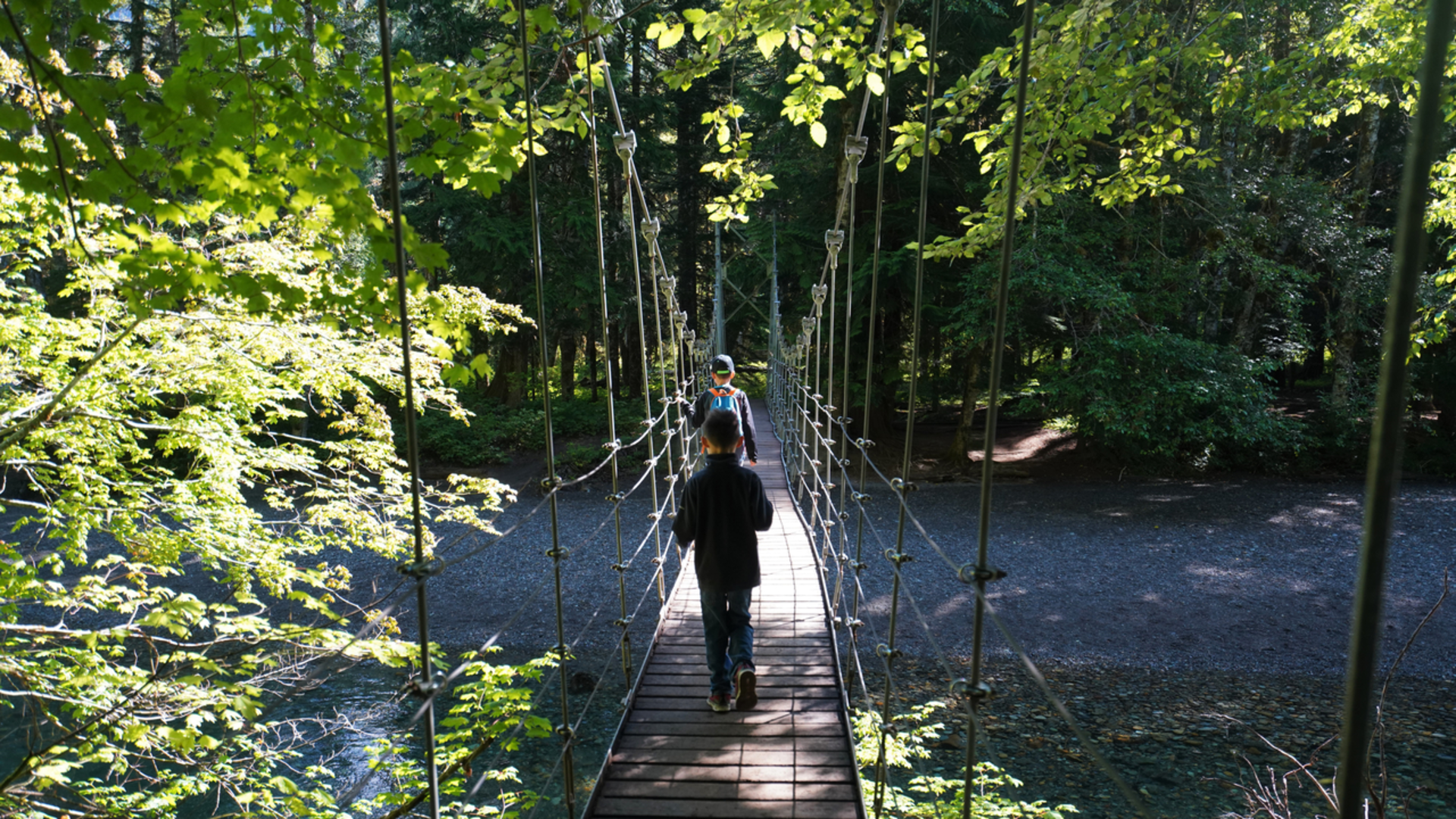 An image depicting the trail Grove of the Patriarchs Trail and its surrounding area.