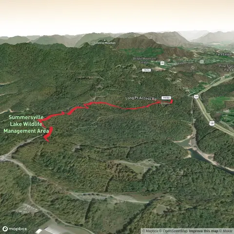 Carpetpine Trail