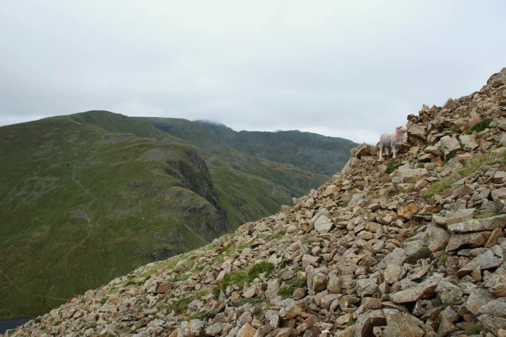 An image depicting the trail Fairfield and St Sunday Crag Loop from Patterdale and its surrounding area.