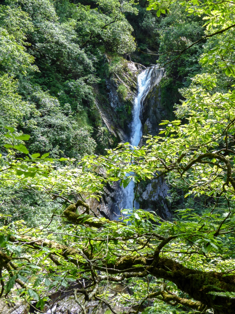 An image depicting the trail Devil's Bridge Falls Walk and its surrounding area.