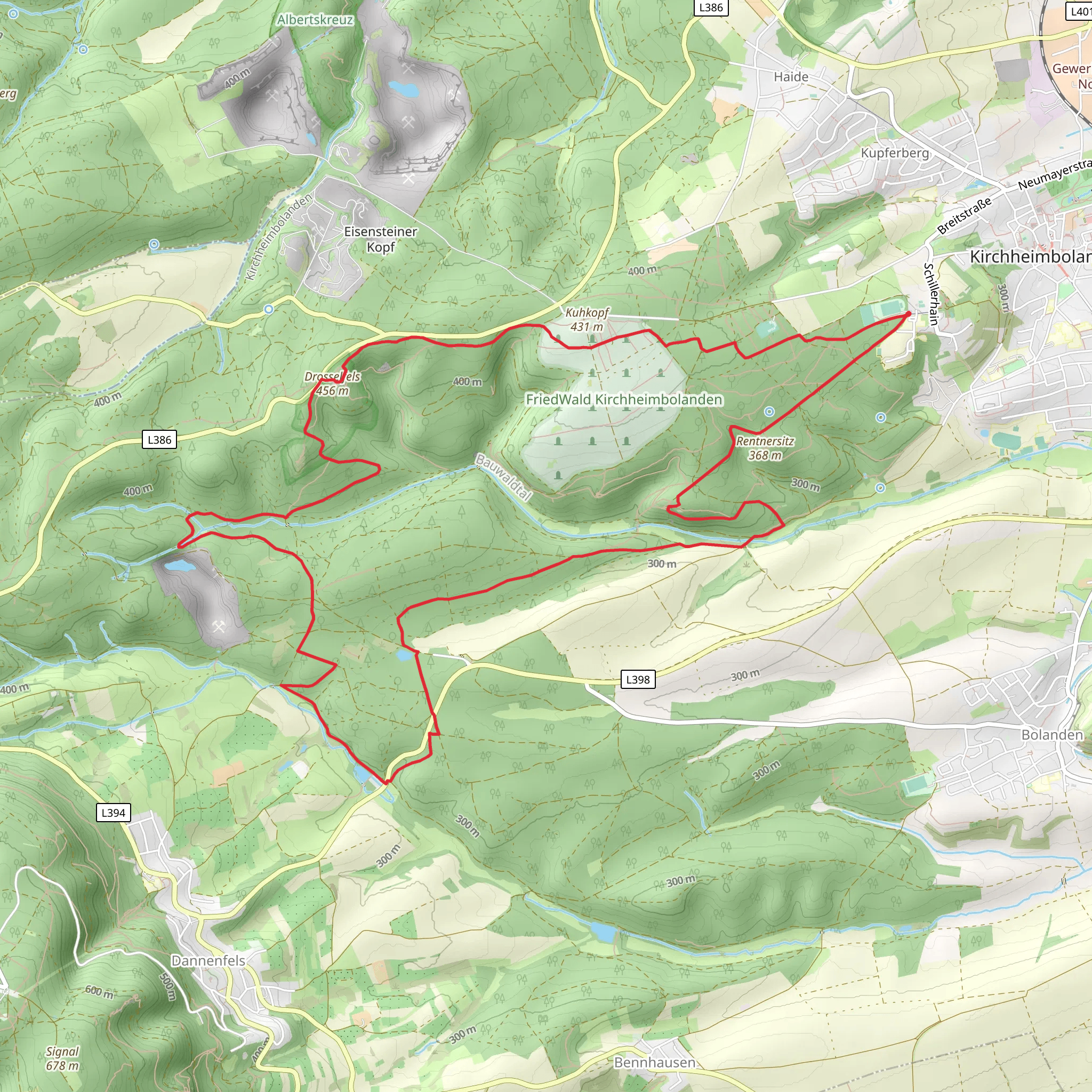 Friedwald Kirchheimbolanden Loop mobile static map