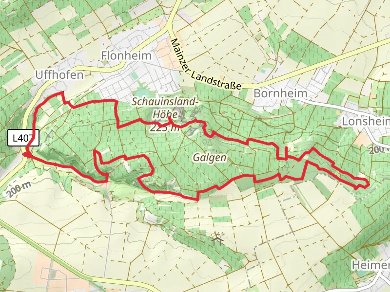 Aulheimer Tälchen, Oswaldhohe and Sedanplatz Loop