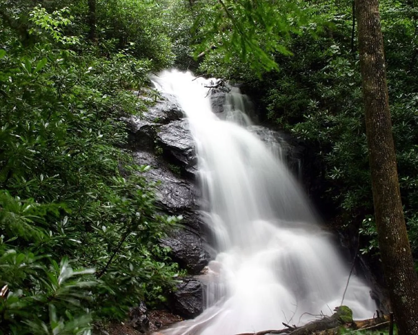 An image depicting the trail Seniard Ridge Trail and its surrounding area.