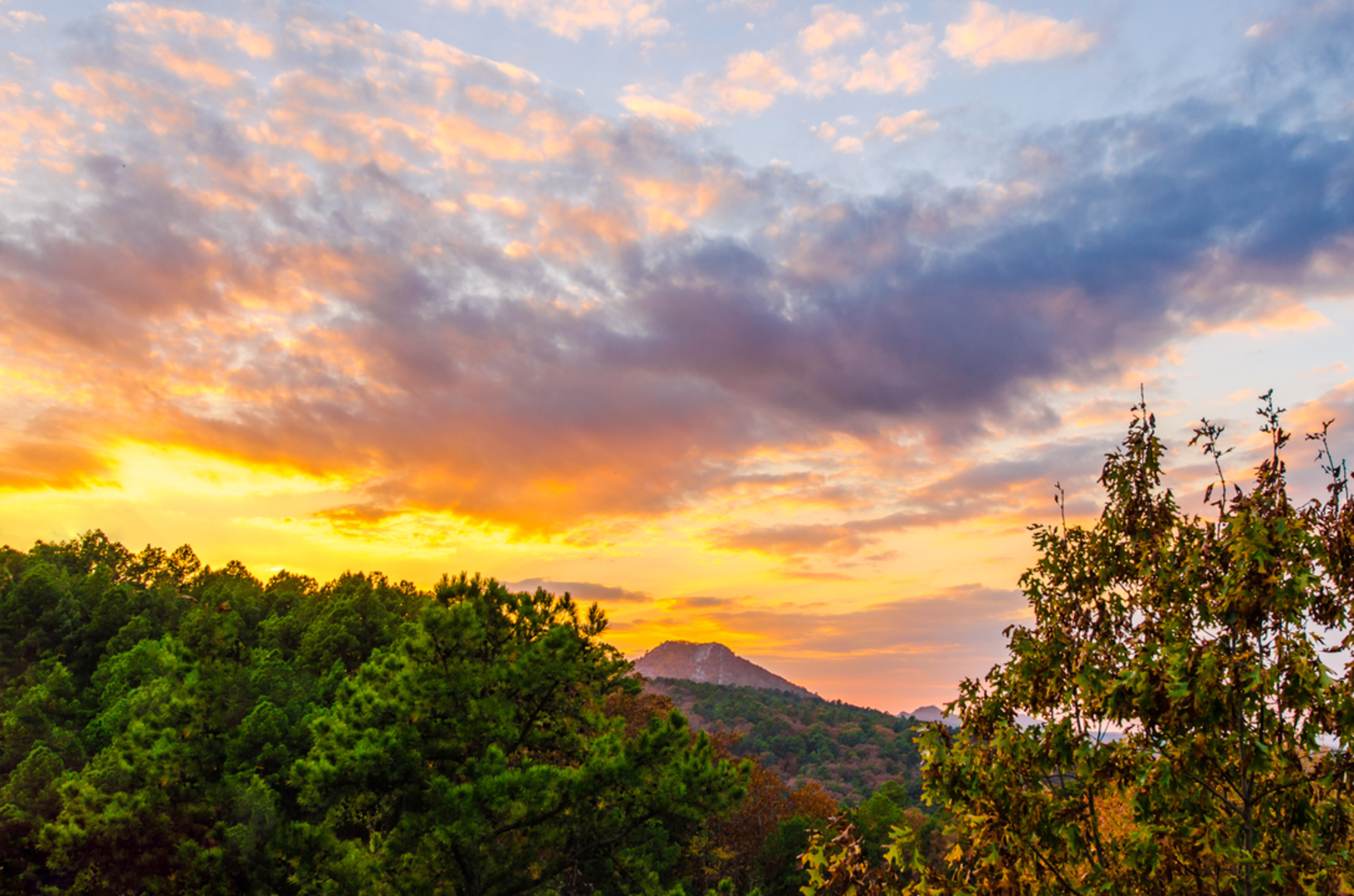 An image depicting the trail Loop around Pinnacle Mountain and its surrounding area.