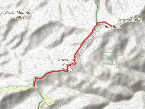 Strawberry Knob, Cold Spring Gap and Stratton Bald Alternate Trail