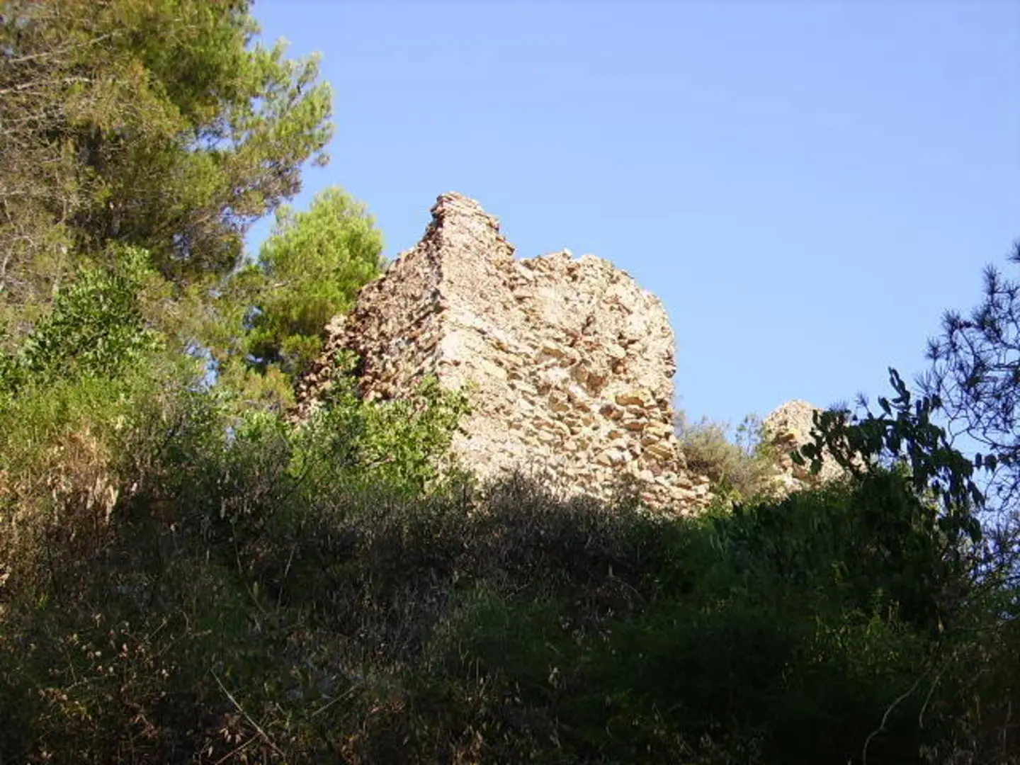 An image depicting the trail Strut of l'Aljub - Coll de Barres PR CV 352 and its surrounding area.