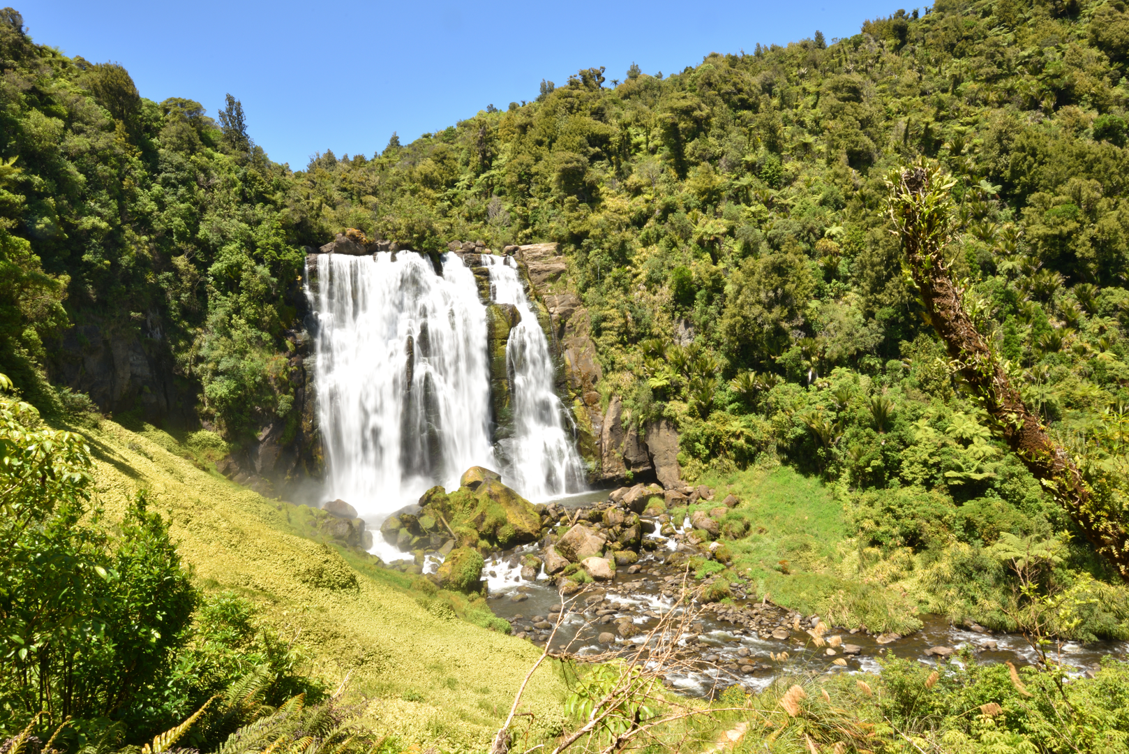 An image depicting the trail Tawarau Falls Loop Track and its surrounding area.