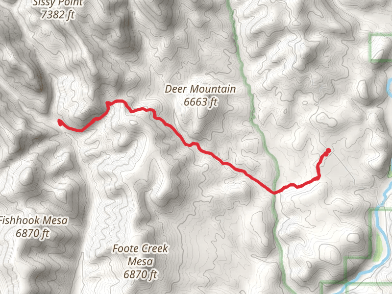 Tutt Creek Trail