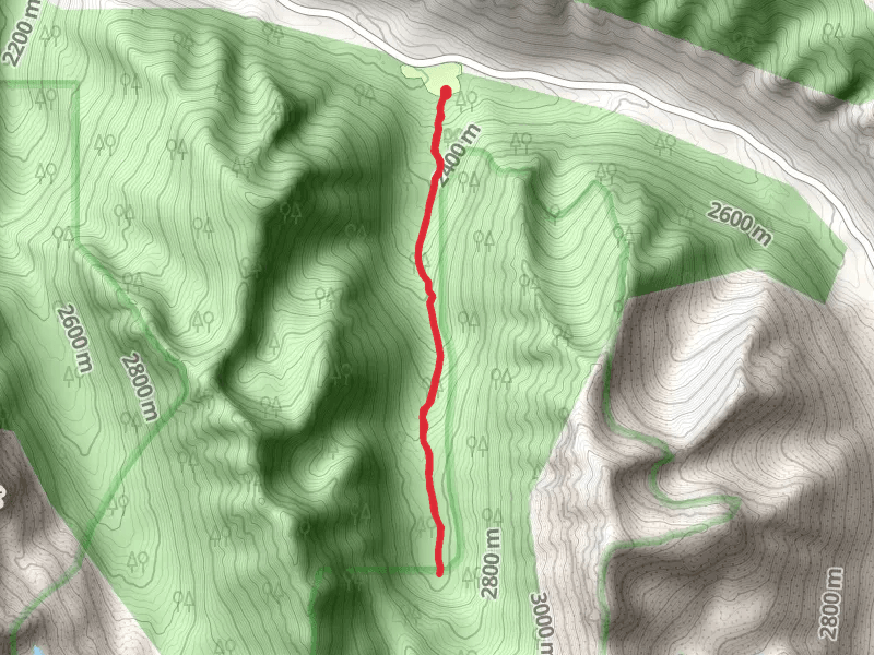 Walk along Thomas Creek
