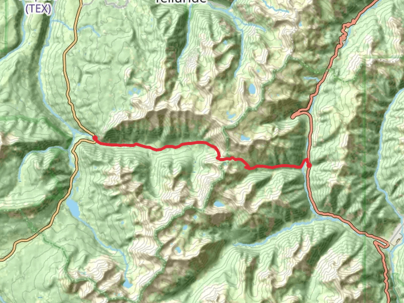 Ophir Pass Road Trail