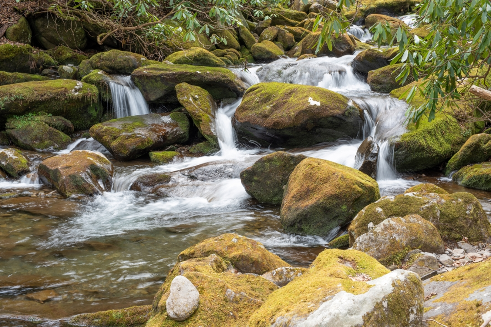 An image depicting the trail Old Settlers Trail and its surrounding area.