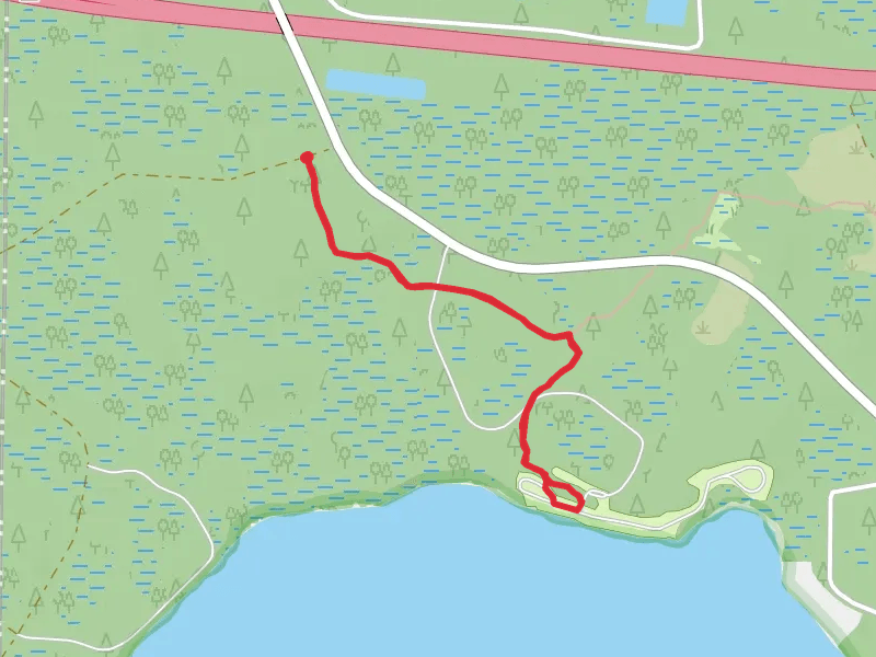 Osceola National Forest Trail