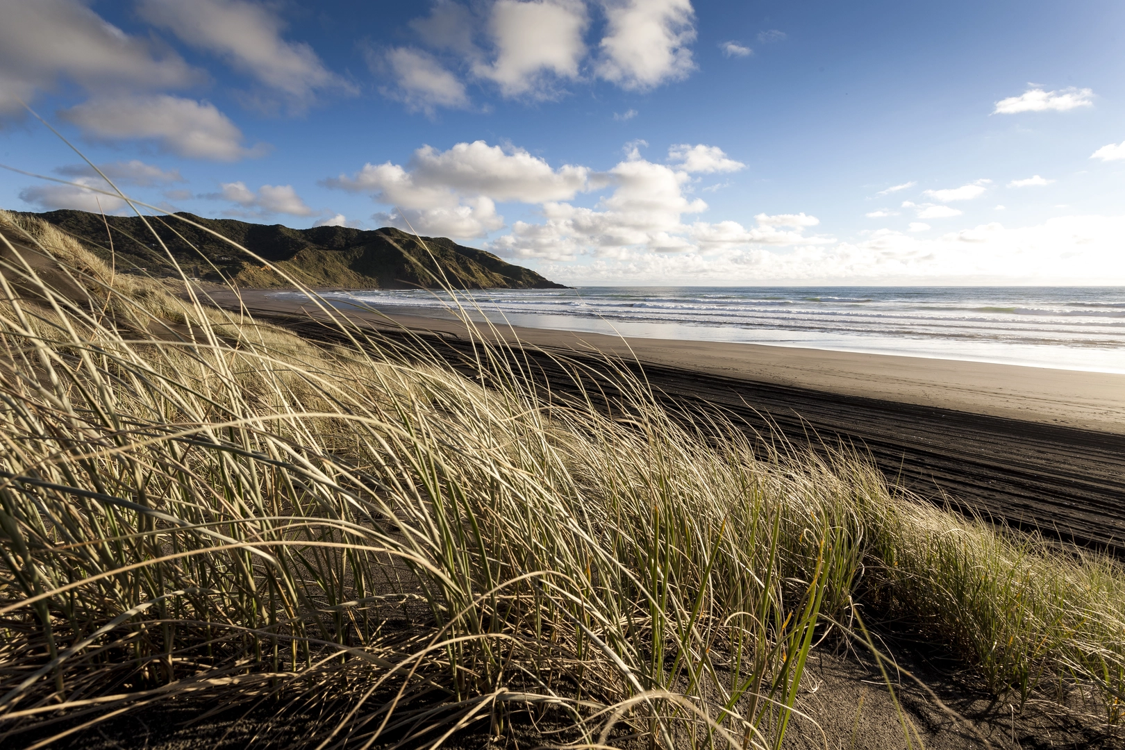 An image depicting the trail Port Waikato Dunes Walk and its surrounding area.