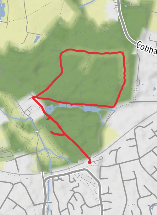 Mole Valley Hiking mobile static map