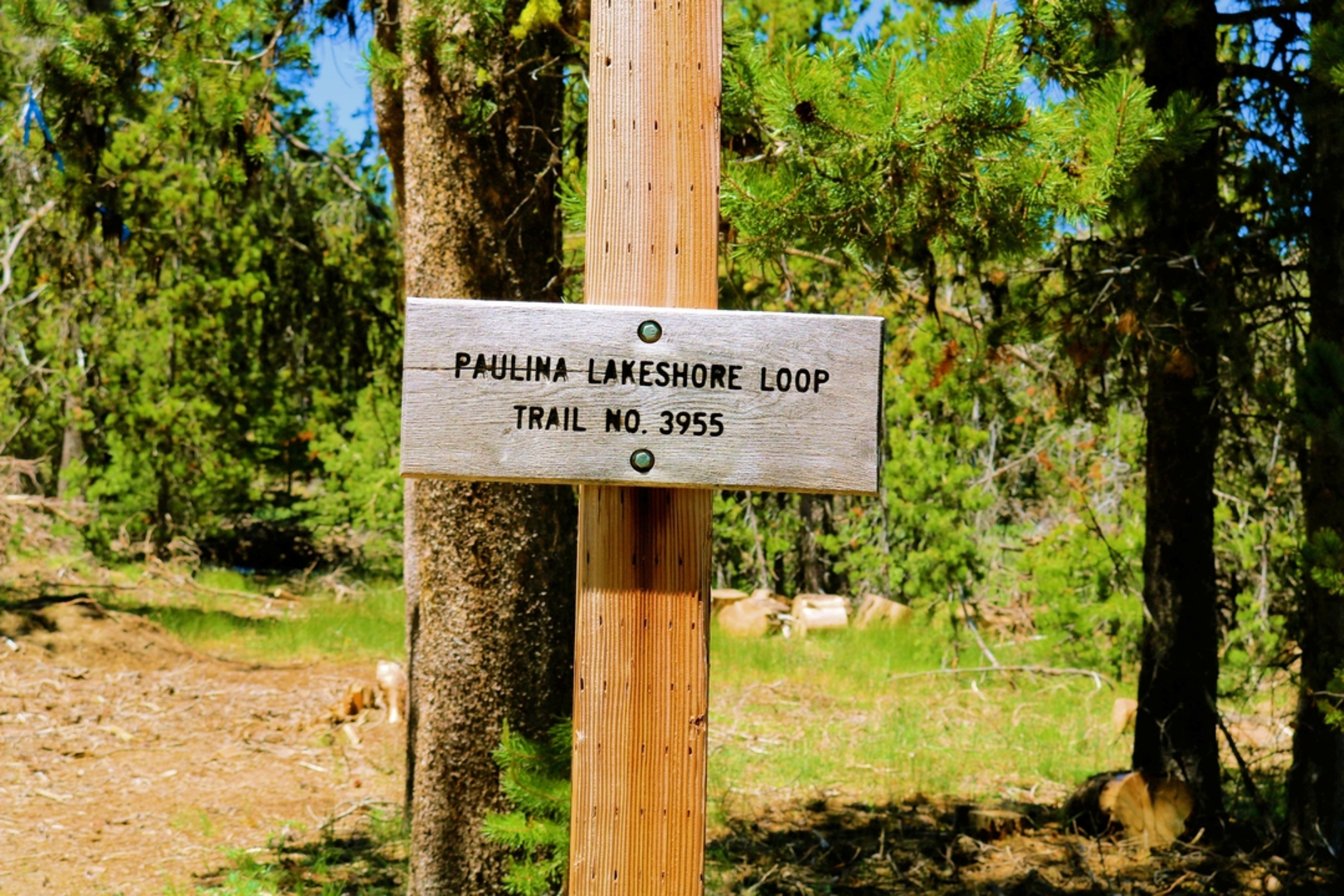An image depicting the trail Lower Paulina Falls View Trail and its surrounding area.