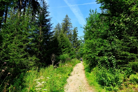 Zweitälersteig