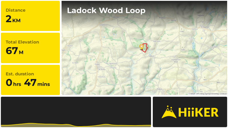 Ladock Wood Loop | Cornwall | England