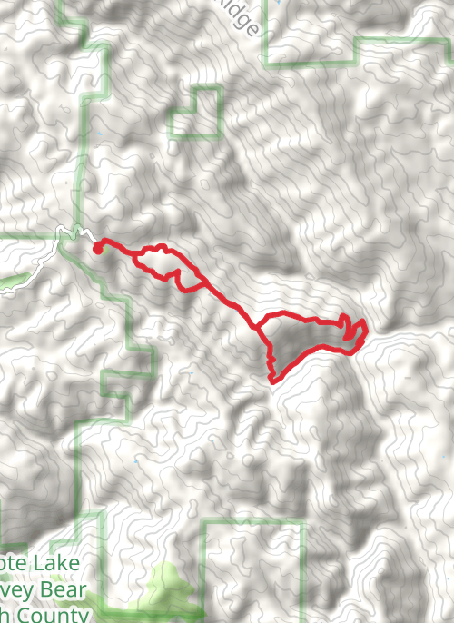 Coe HQ to Madrone Springs RT mobile static map