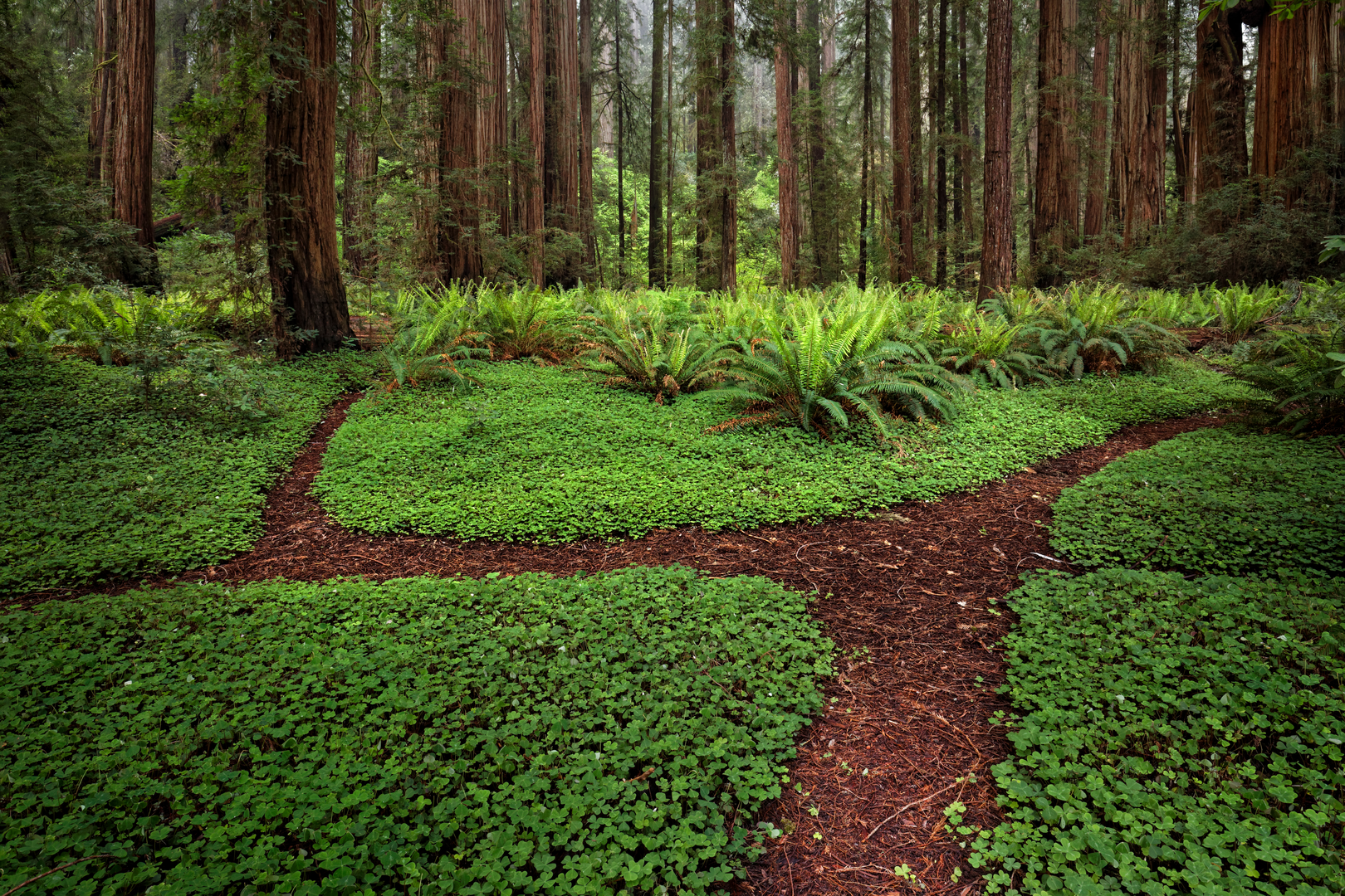 An image depicting the trail Stout Grove Loop Trail and its surrounding area.