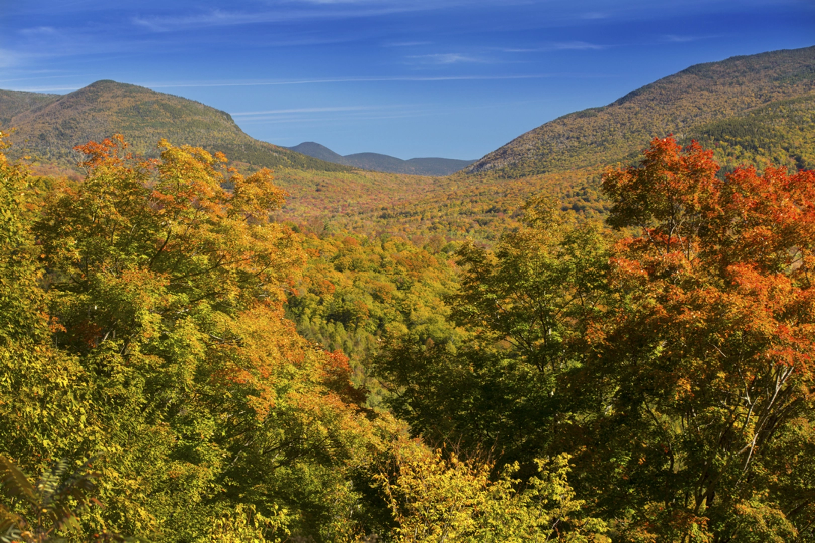 An image depicting the trail Rollins Trail via Dicey's Mill Trail and its surrounding area.