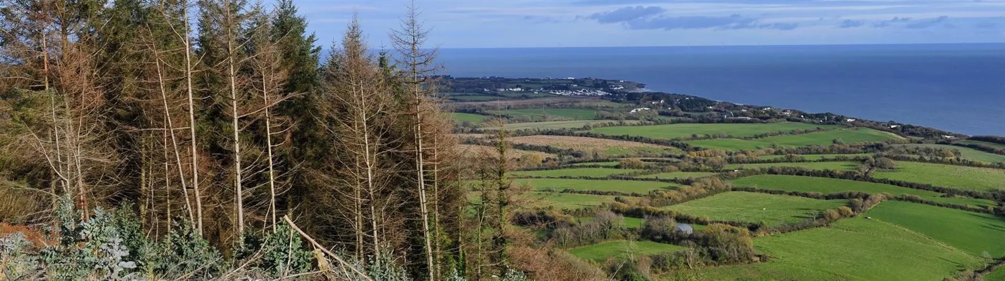 An image depicting the trail Tara Hill - Slí an t-Suaimhnis and its surrounding area.