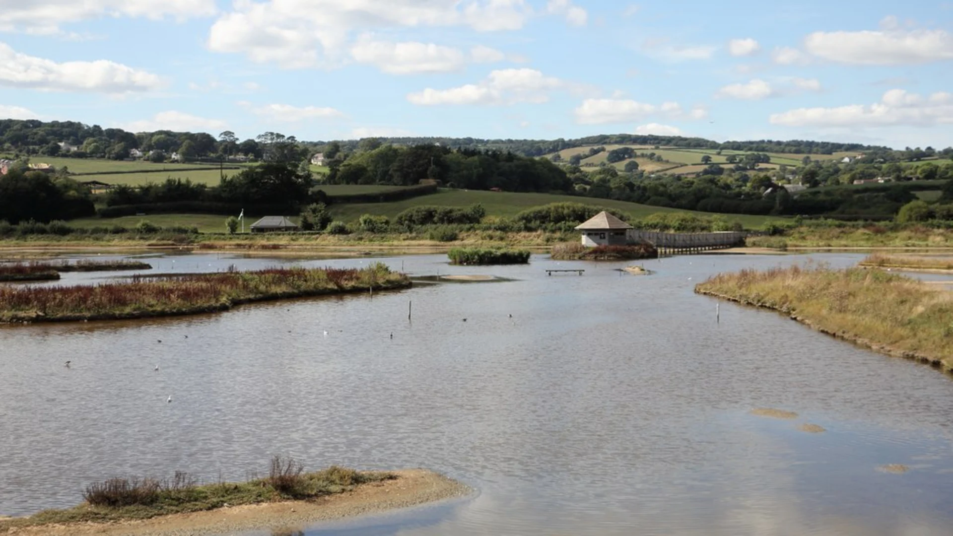 An image depicting the trail Seaton Marshes Walk and its surrounding area.
