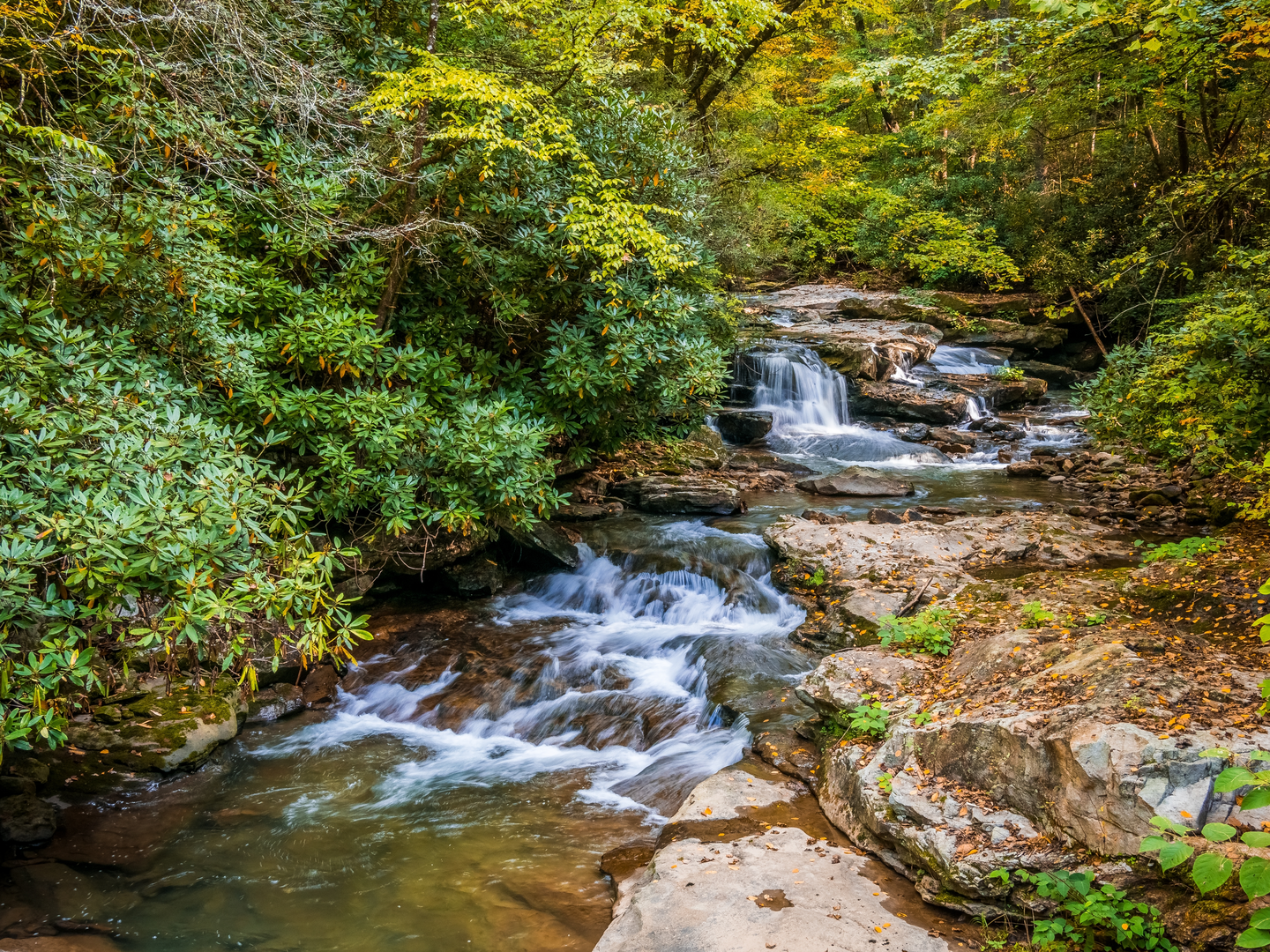 An image depicting the trail Big Branch Falls via N Fork Moormans River Trail and its surrounding area.