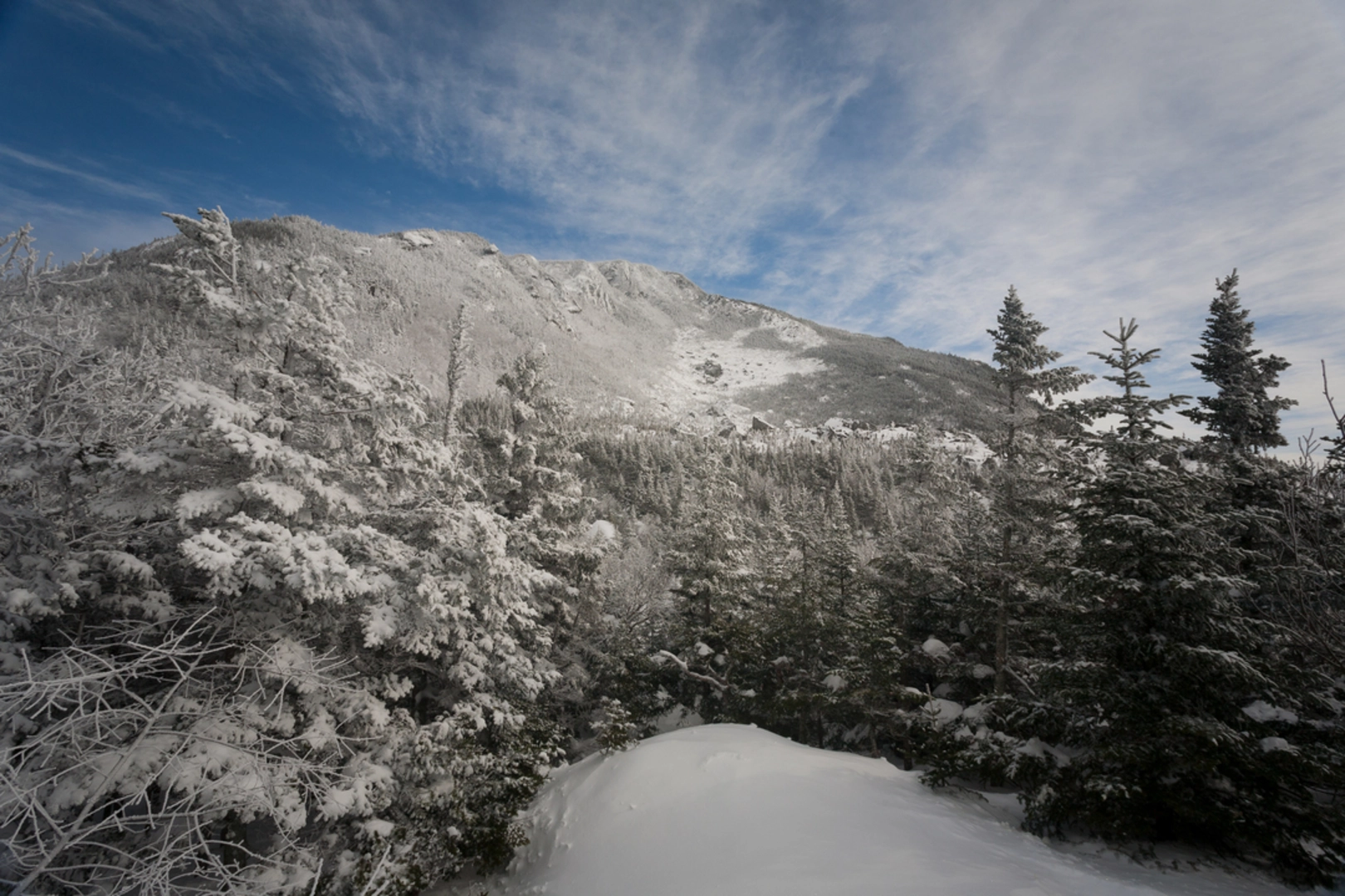 An image depicting the trail Mount Hight Basin Brook Reservoir and its surrounding area.
