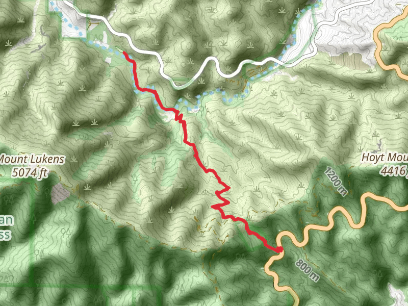 Grizzly Flat and Old Dark Canyon Trail