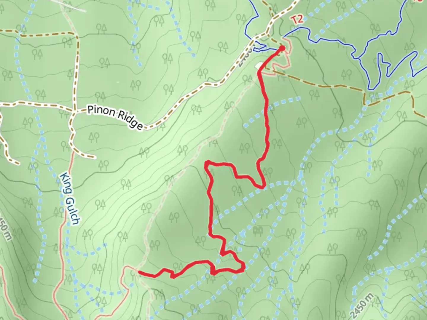 An image depicting the trail Double Rainbow Trail and its surrounding area.