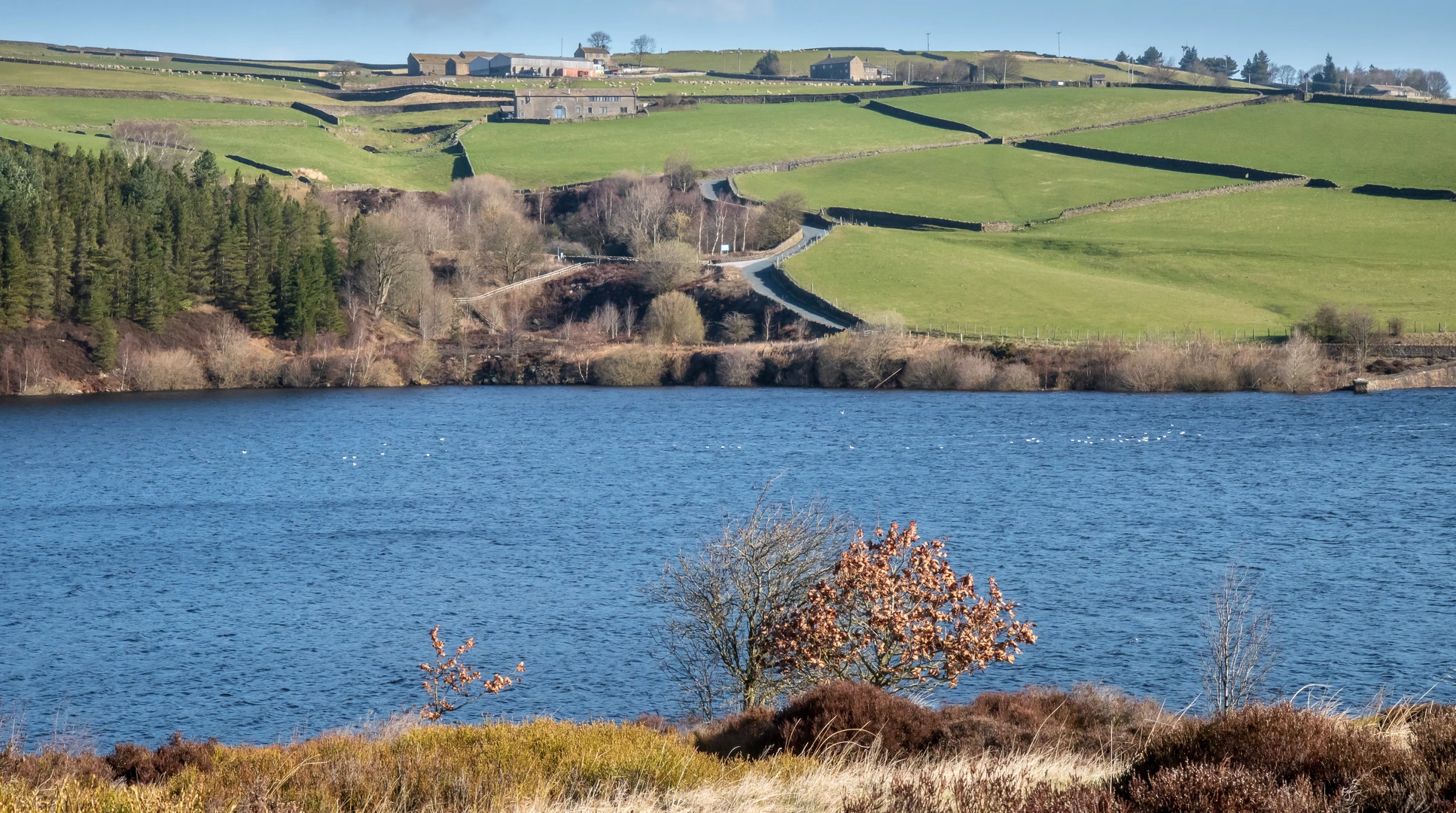 An image depicting the trail Magdalen and Round Hill Loop and its surrounding area.