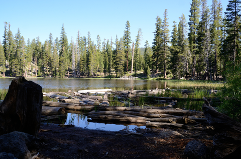 Watson Lake via Tahoe Rim Trail and Antone Meadows TrailLoop