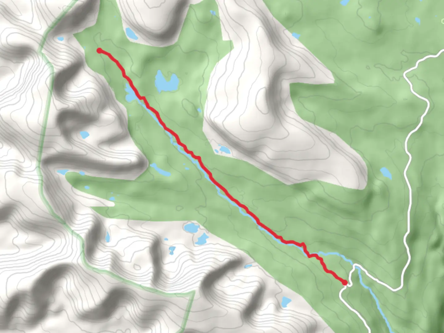 An image depicting the trail Walk to Cleveland Lake and its surrounding area.