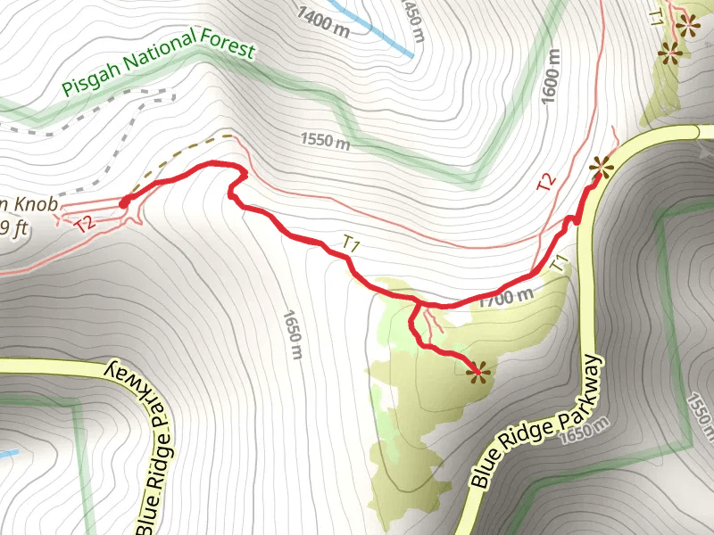 Craggy Gardens Trail