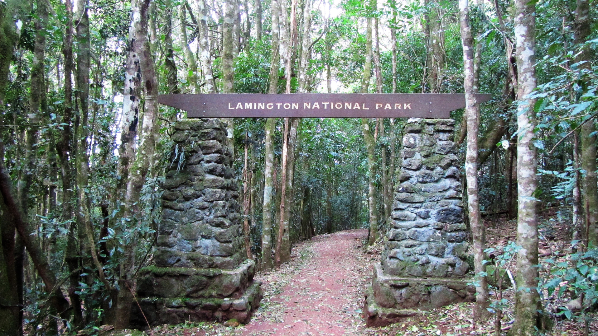An image depicting the trail Binna Burra and O'Reilly's Track and its surrounding area.